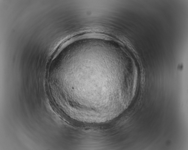 X0000116100434200912071303