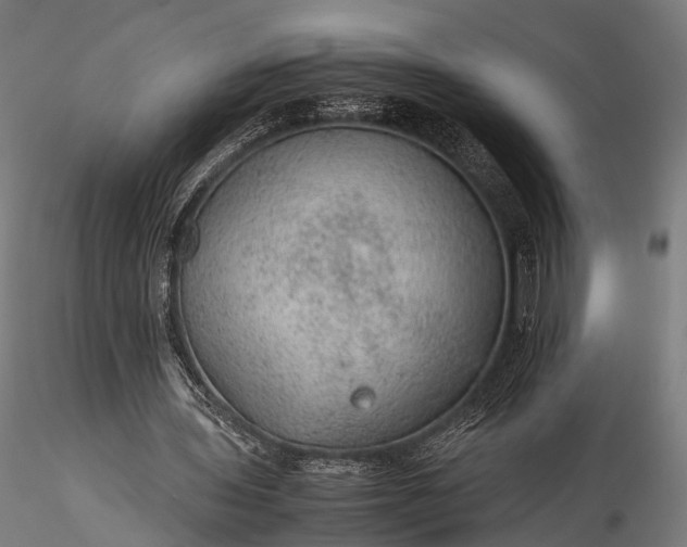 X0000116100435200912071303