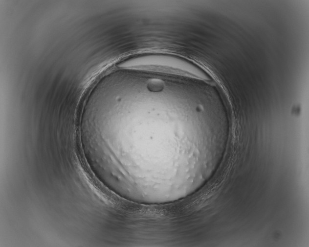 X0000116100437200912071303