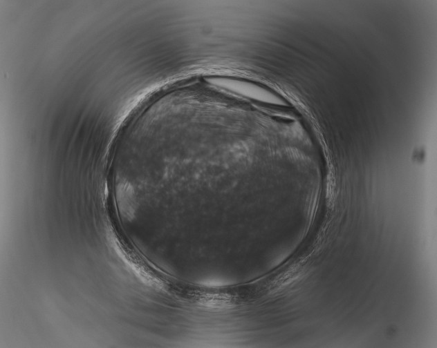 X0000116100438200912071303