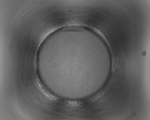 X0000116100439200912071303