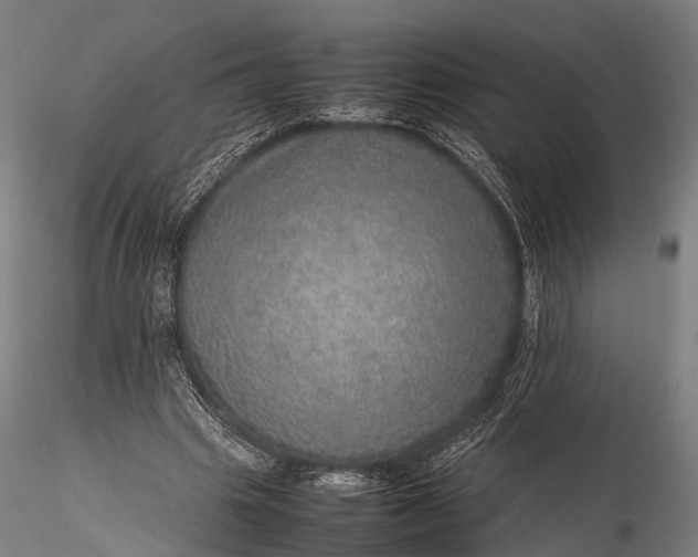 X0000116100441200912071303