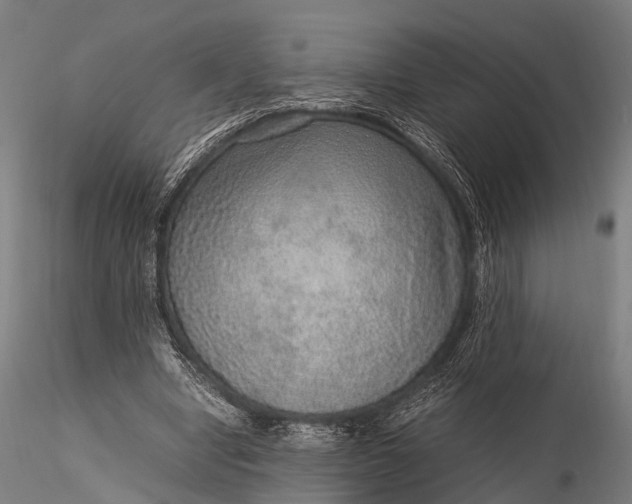 X0000116100442200912071303