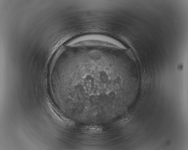 X0000116100443200912071303