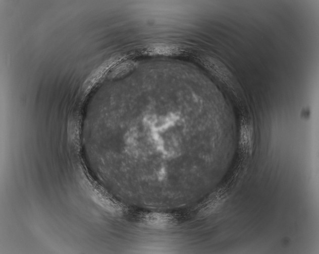 X0000116100444200912071303