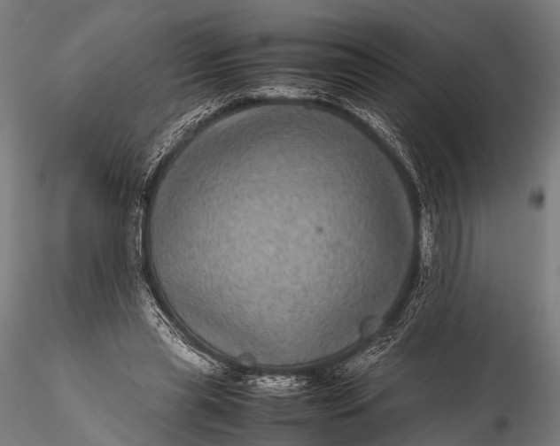 X0000116100445200912071303