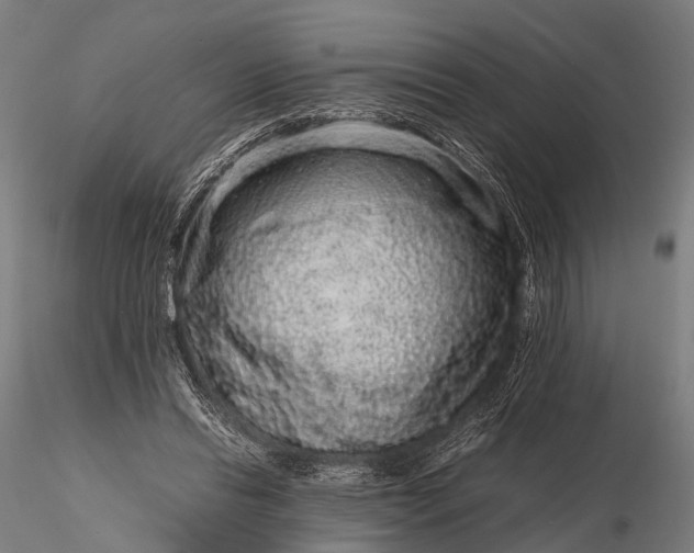 X0000116100446200912071303