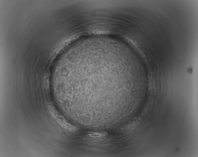 X0000116100447200912071303