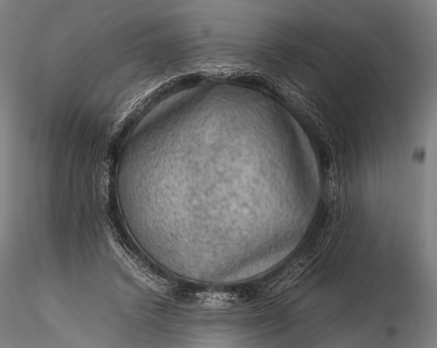 X0000116100448200912071303