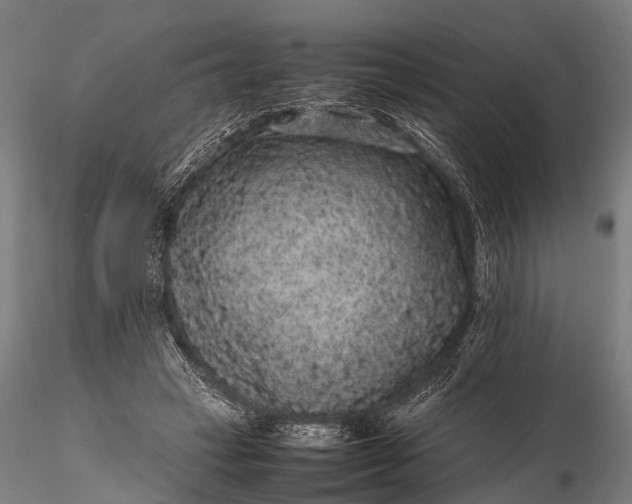 X0000116100449200912071303