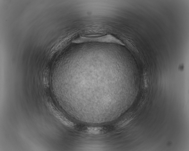 X0000116100450200912071303