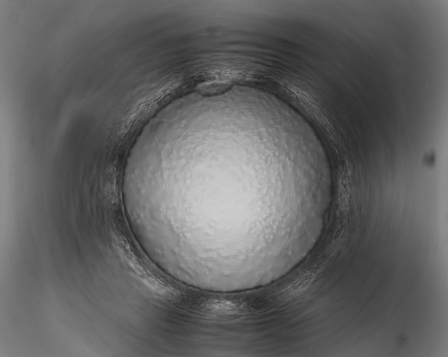 X0000116100453200912071303