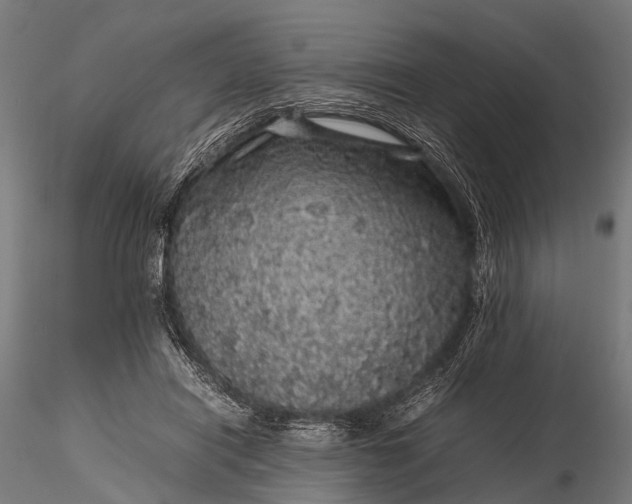 X0000116100454200912071303