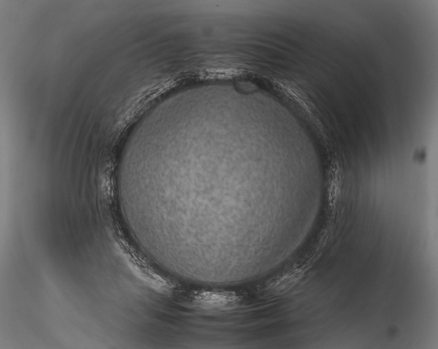 X0000116100455200912071304