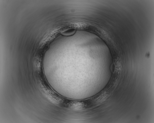 X0000116100456200912071304