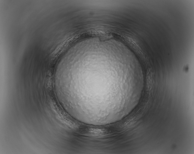 X0000116100457200912071304