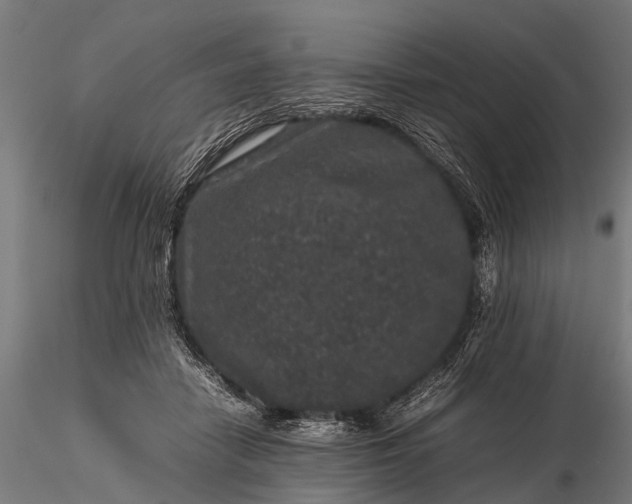 X0000116100458200912071304