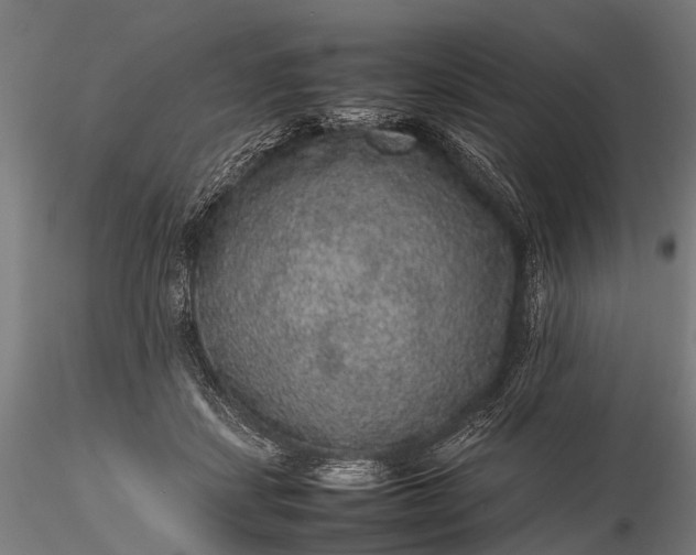 X0000116100459200912071304