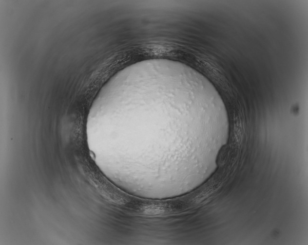 X0000116100461200912071304