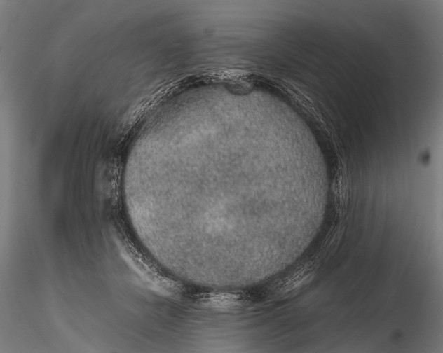 X0000116100462200912071304