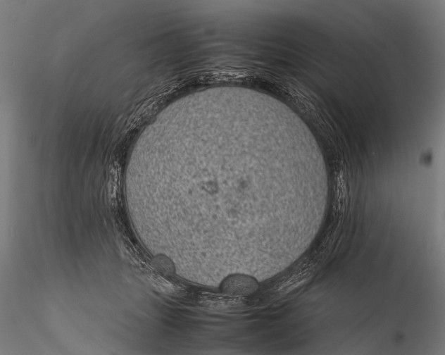 X0000116100463200912071304