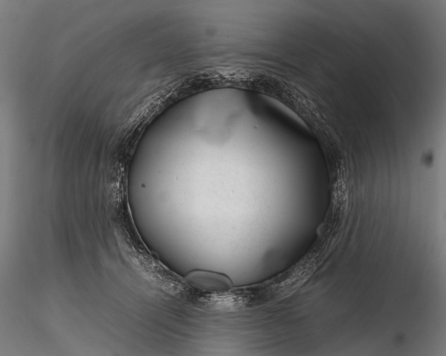 X0000116100464200912071304