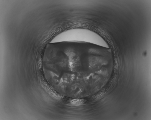 X0000116100465200912071304