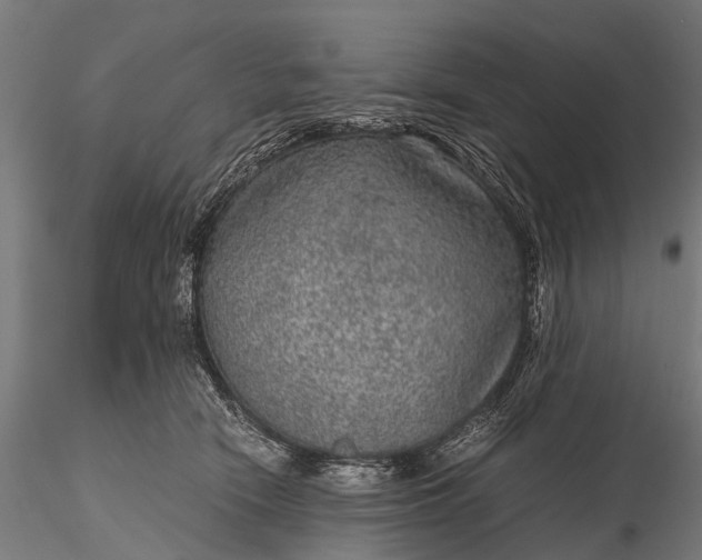 X0000116100466200912071304