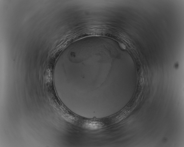 X0000116100467200912071304