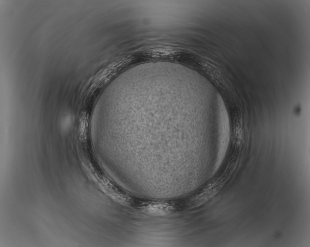 X0000116100468200912071304