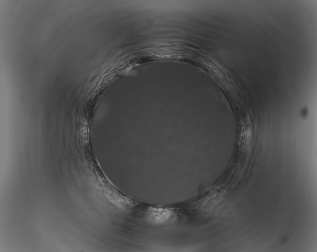 X0000116100469200912071304