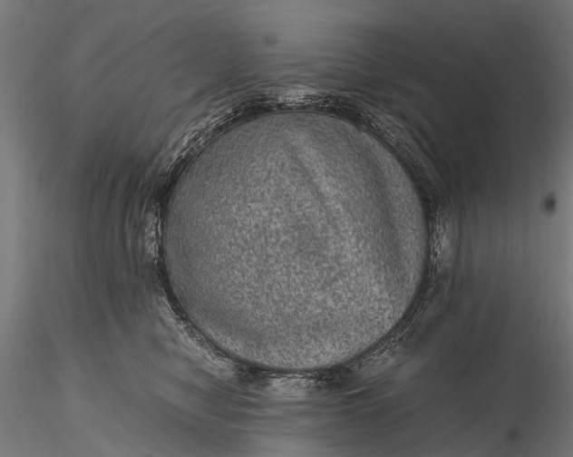 X0000116100470200912071304