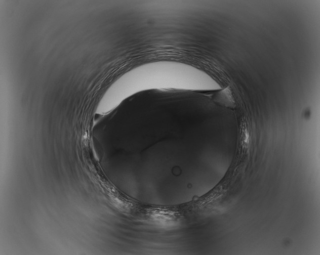 X0000116100471200912071304