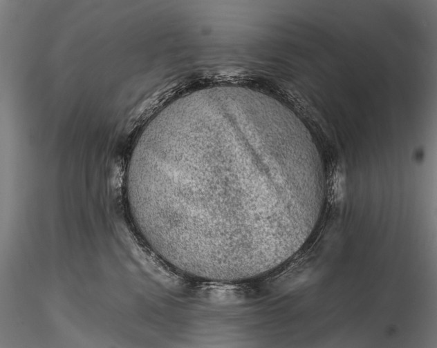 X0000116100472200912071304