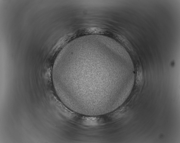 X0000116100473200912071304