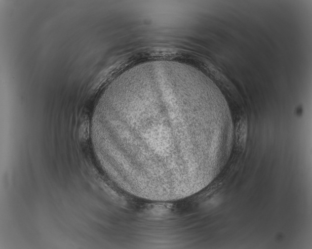 X0000116100474200912071304