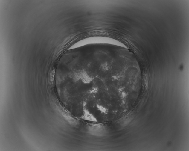 X0000116100475200912071304