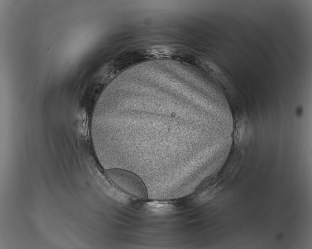 X0000116100477200912071304