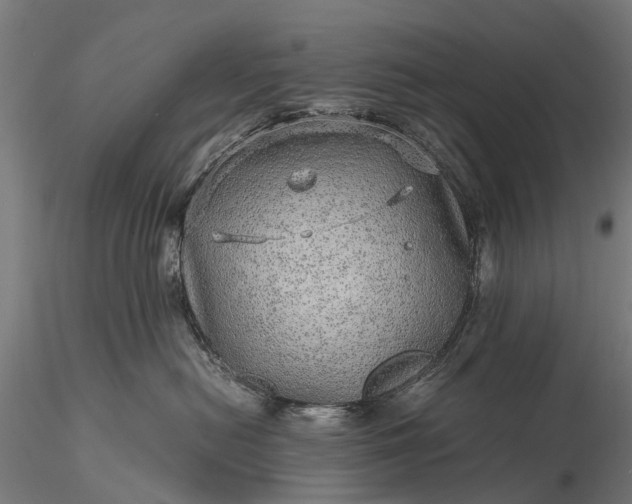 X0000116100478200912071304