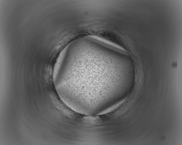 X0000116100480200912071304