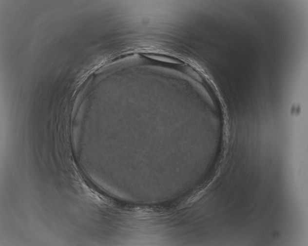 X0000116100481200912071303