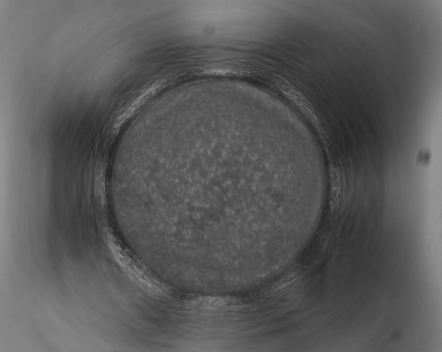 X0000116100482200912071303