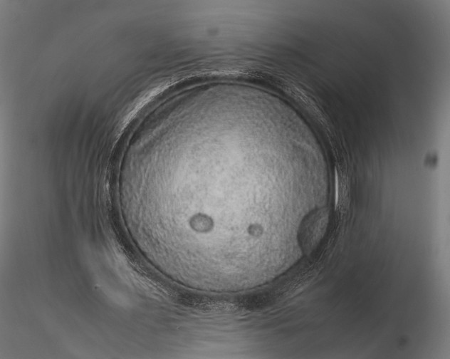 X0000116100483200912071303