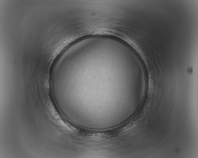 X0000116100485200912071303