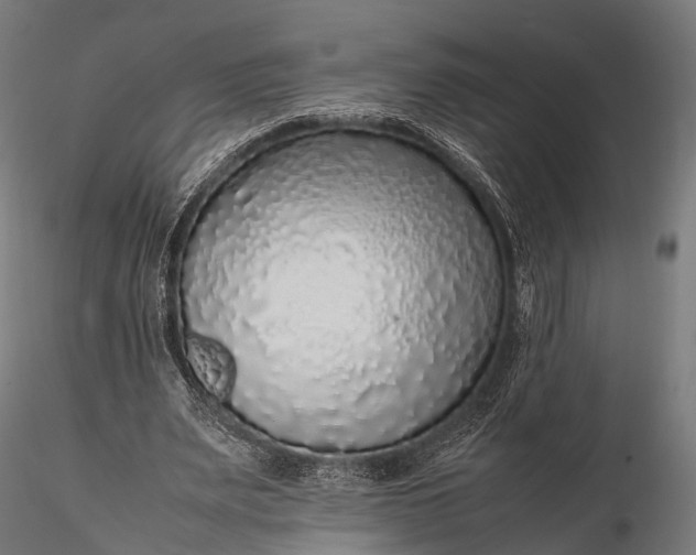 X0000116100487200912071303