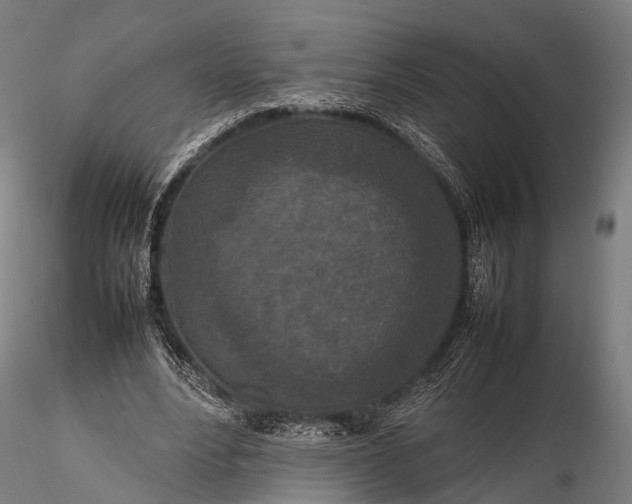 X0000116100488200912071303