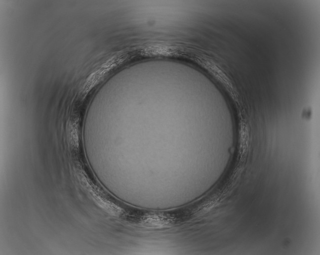 X0000116100489200912071303