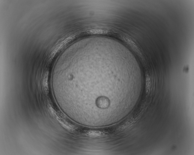 X0000116100490200912071303