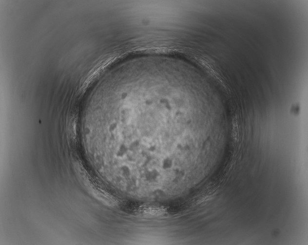 X0000116100491200912071303