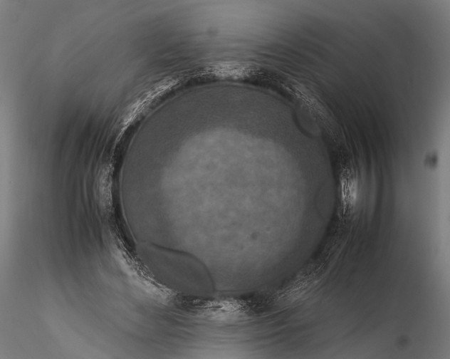 X0000116100492200912071303